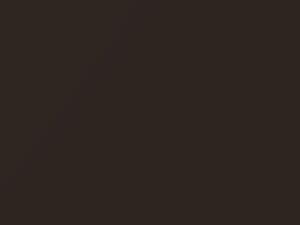 Tesla All Models Sycamore Brown Metallic 2016 E100E, PMAB