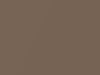 Nissan All Models Brown Metallic 2008 C61