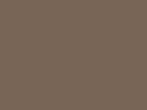 Nissan All Models Brown Metallic 2008 C61 - Scratch Repair