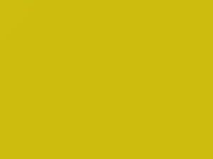 Ford All Models Yellow Peel 2021 1ECAWHA, 7451, CB, M7451, M7451A