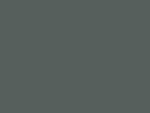 Ford All Models Fighter Jet Gray 2021 1JJAWHA, 7457, M7457, M7457A, NE
