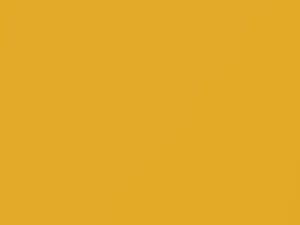 Kia All Models Solar Yellow 2020 ASY