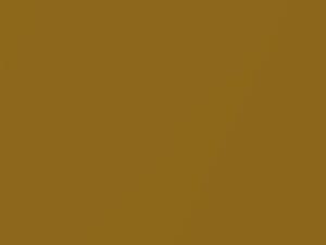 Hyundai Elantra Golden Flash Metallic 2019 RK2 - Scratch Repair