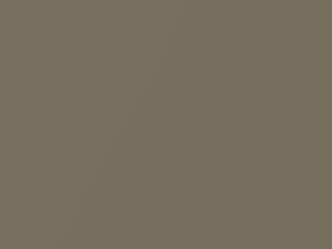 Suzuki All Models Sand Gold Metallic 2014 ZFF