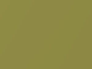 Acura Legend Yellow Topaz Metallic 1988 Y69M