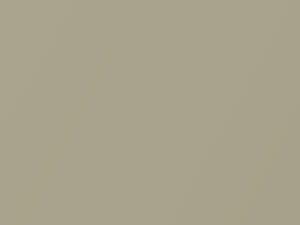 Nissan All Models Champagne Gold Pearl 1998 EM1 - Scratch Repair