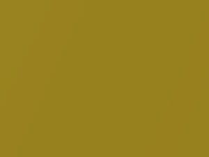 Suzuki All Models Prme Sunshine Yellow Two Metal 2016 ZQF