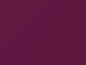 Toyota Yaris Radish Purple Mica 2010 9AC