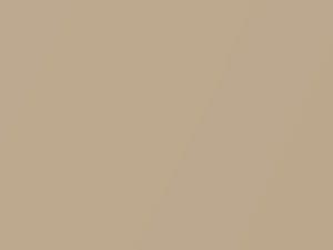 Porsche All Models Luxor Beige Metallic 2010 LM1T, M1T