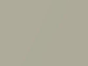 Nissan All Models Champagne Metallic 1998 ES0 - Scratch Repair