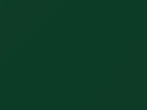 Mini All Models British Racing Green Metallic 4 2020 C3B