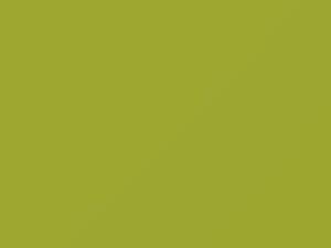 Honda Fit Lime Green 2020 GY34