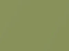 Smart All Models Energy Green Metallic Matte-Low Gloss 2014 CC5L, ECD
