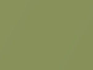 Smart All Models Energy Green Metallic Matte-Low Gloss 2012 CC5L, ECD