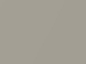 BMW X1 Cashmere Silver Metallic 2017 A72