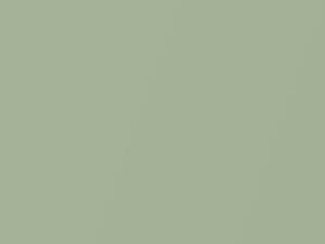 Daihatsu All Models Pale Green Pearl 2017 G56