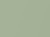Daihatsu All Models Pale Green Pearl 2017 G56