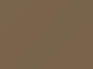 Nissan All Models Light Beige Metallic 2015 HAE - Scratch Repair