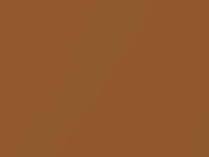 Volvo S60 Vibrant Copper Metallic 2012 704