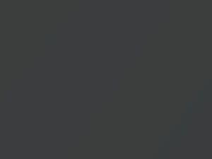 Volkswagen All Models Indium Gray Metallic 2010 LR7H, R7H, X3, X3X3