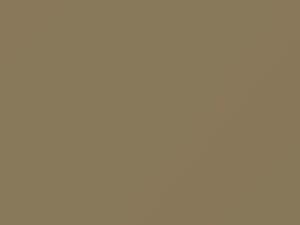 Hyundai All Models Sandy Beige 2018 SNB
