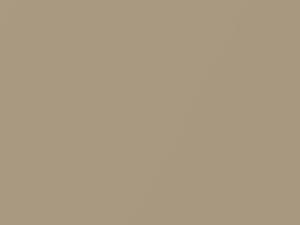 Toyota Tundra Desert Sand Mica 2003 U4Q2