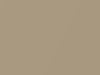 Toyota Tundra Desert Sand Mica 2005 U4Q2