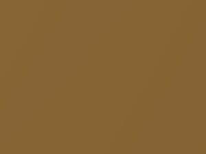 Ferrari All Models Oro Metallic 2018 138364, 430 - Scratch Repair