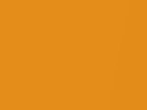 Ford Ranger Cyber Orange Pearl 2021 1FCGWHA, 7450, M7450, M7450A, SB