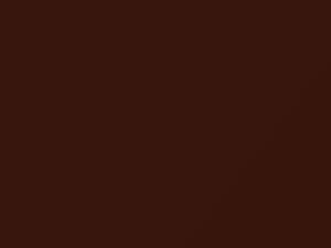 Ford F250 Dark Copper Metallic 2007 7133 - Scratch Repair