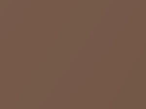 Nissan All Models Light Reddish Brown Metallic 2021 CBC - Scratch Repair