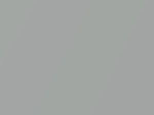 Ford Fiesta Sunlight Silver Metallic 2011 22V - Scratch Repair