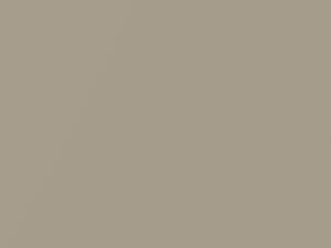 Nissan All Models Beige Metallic 2019 C42 - Scratch Repair