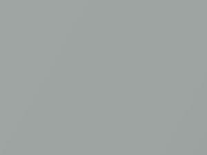 Nissan All Models Platinum Silver Metallic 2007 PSE - Scratch Repair