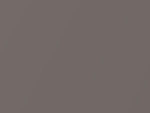 Nissan All Models Grayish Brown Metallic 2009 C41 - Scratch Repair