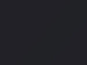 Toyota All Models Dark Gray Metallic 1991 156