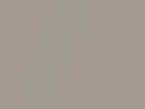 Porsche All Models Cashmere Beige Metallic 2021 5Q, L1X, LL1X