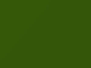 Dodge Charger Green Go 2019 200619, AY110MGM, MGM, PGM - Scratch Repair