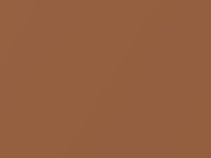 Chevrolet All Models Zest Brown Metallic 2006 440N, 94U, WA440N - Scratch Repair