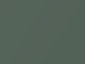 Hyundai H200 Quartz Green Metallic 2005 ZG - Scratch Repair