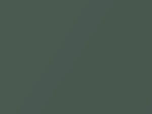 Nissan All Models Vert Cuivre Metallic 2019 ZU8 - Scratch Repair