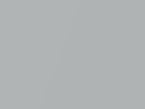 Saab 44809 Snow Silver Metallic 2009 309