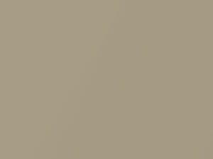 Nissan Pickup Light Gold Metallic 2003 E12