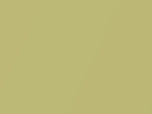 Dodge All Models Optic Green Metallic/Optic Green Pearl 2010 GFG, PFG