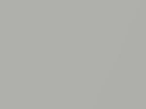 Smart Fortwo River Silver Metallic 2009 C50L, EAD
