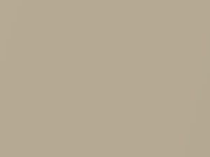 Daihatsu All Models Beige Metallic 2017 T25