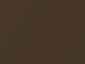 Nissan Sentra Medium Brown Metallic 2019 CAK - Scratch Repair