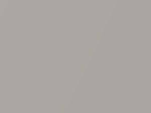 Daihatsu All Models Warm Silver Metallic 2001 S20