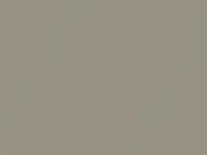 Honda Civic Light Gold Metallic 2010 NH663M - Scratch Repair