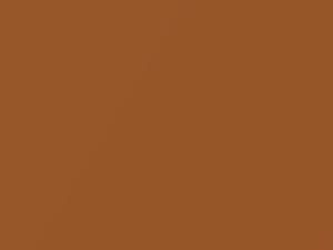 Nissan All Models Orange Metallic 2008 A34